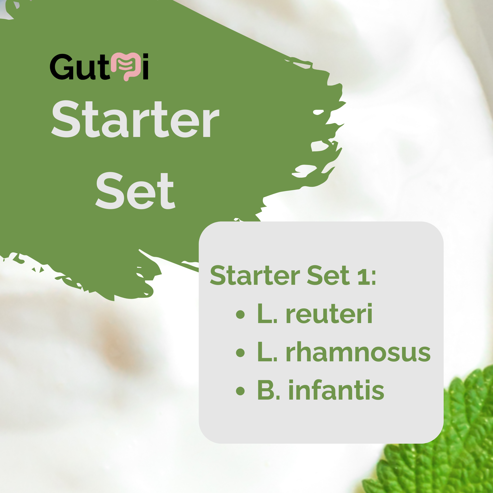 L. reuteri + L. rhamnosus + B. infantis | Set Starter Yogurt | SIBO | Kultur Starter | Paket 3 buah