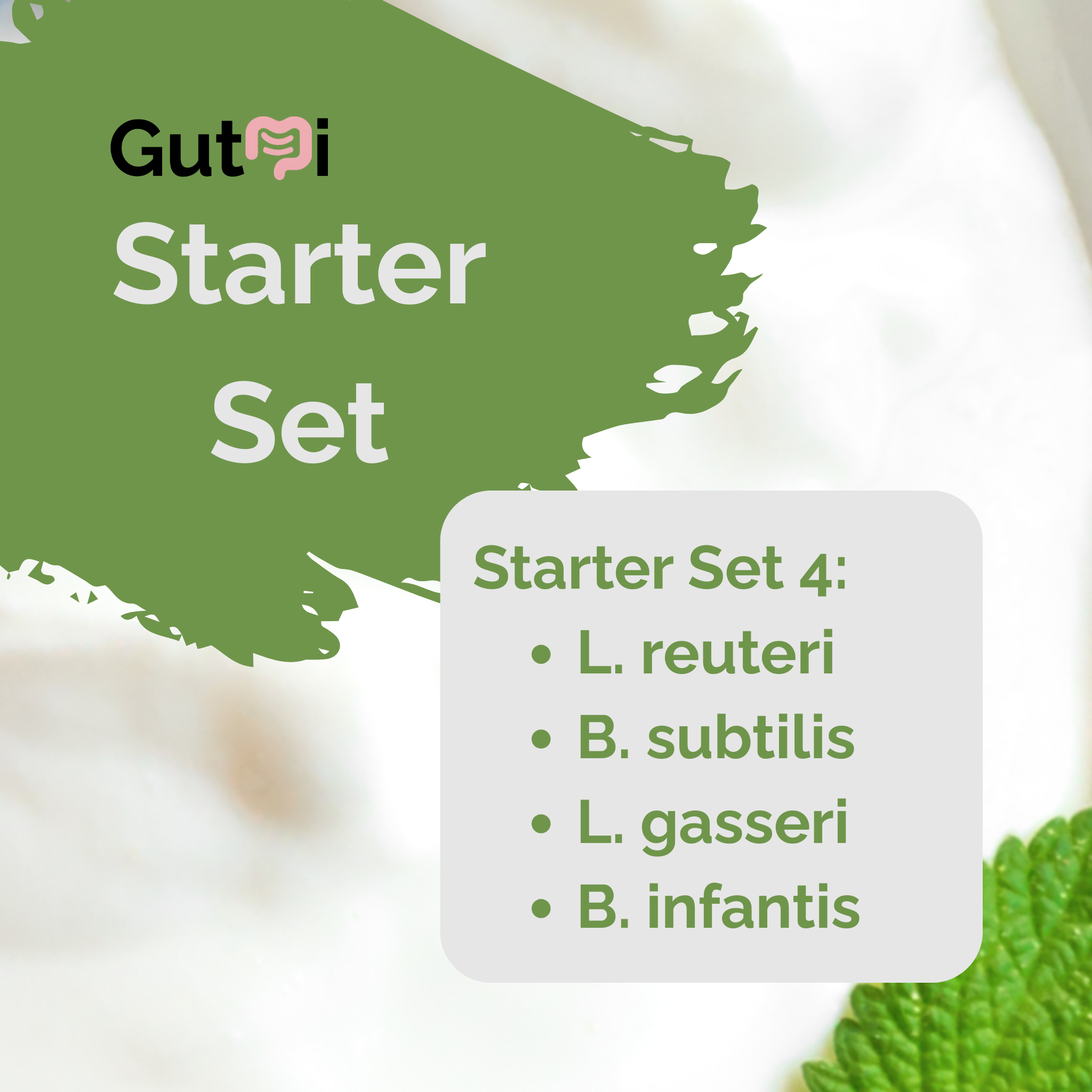 L. reuteri + L. gasseri + B. infantis + B. subtilis | Set Starter Yogurt | SIBO | Kultur Starter | Paket 3er
