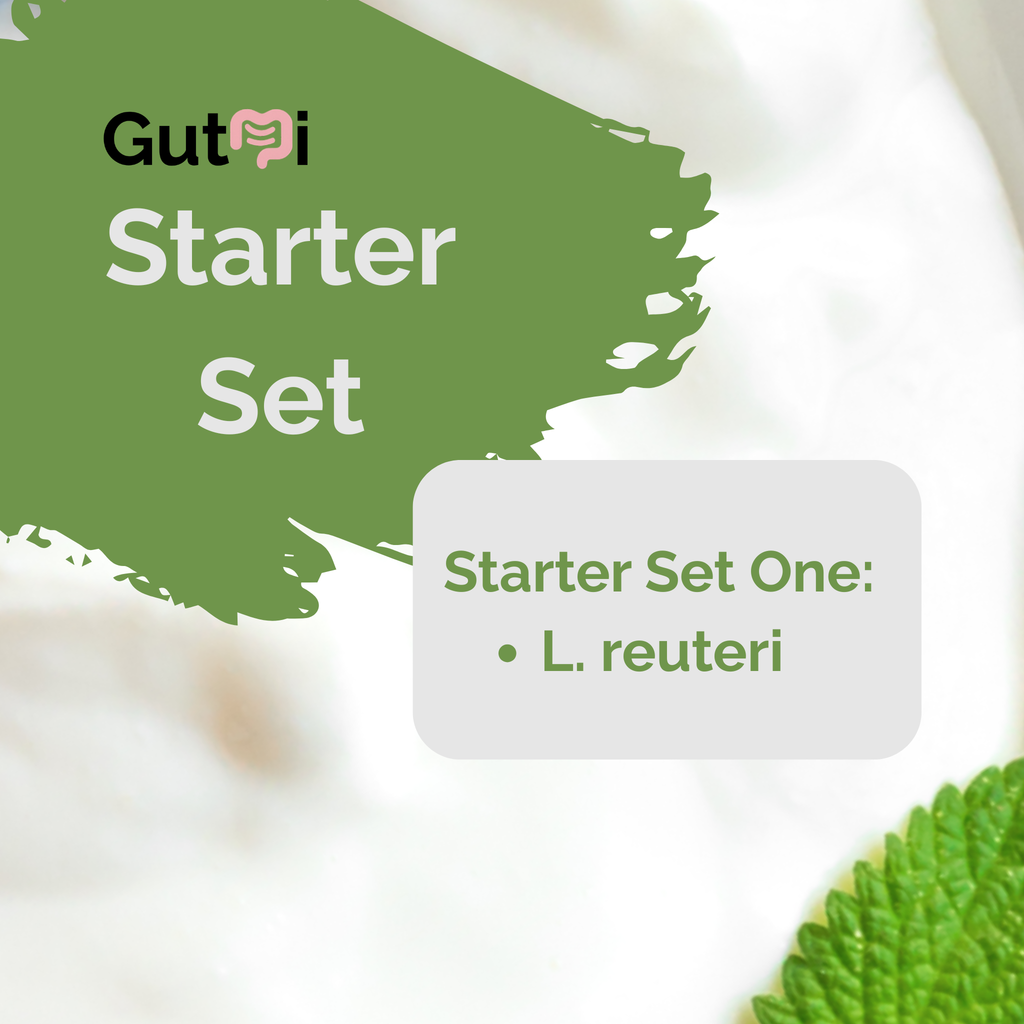 L. reuteri | Set Starter Yogurt | Kultur Starter | Paket 3er